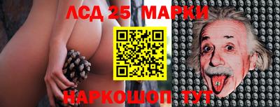 гашик Абакан