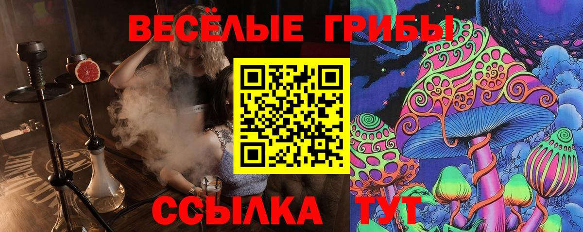 Псилоцибиновые грибы MAGIC MUSHROOMS  Вход с VPN  Апшеронск  Галлюциногенные грибы GOLDEN TEACHER 