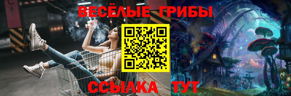 Галлюциногенные грибы мухоморы Апшеронск